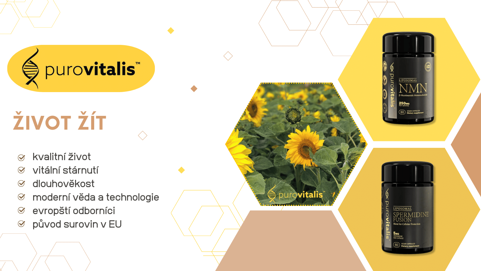 Dlouhovekost_uvod foto clanku